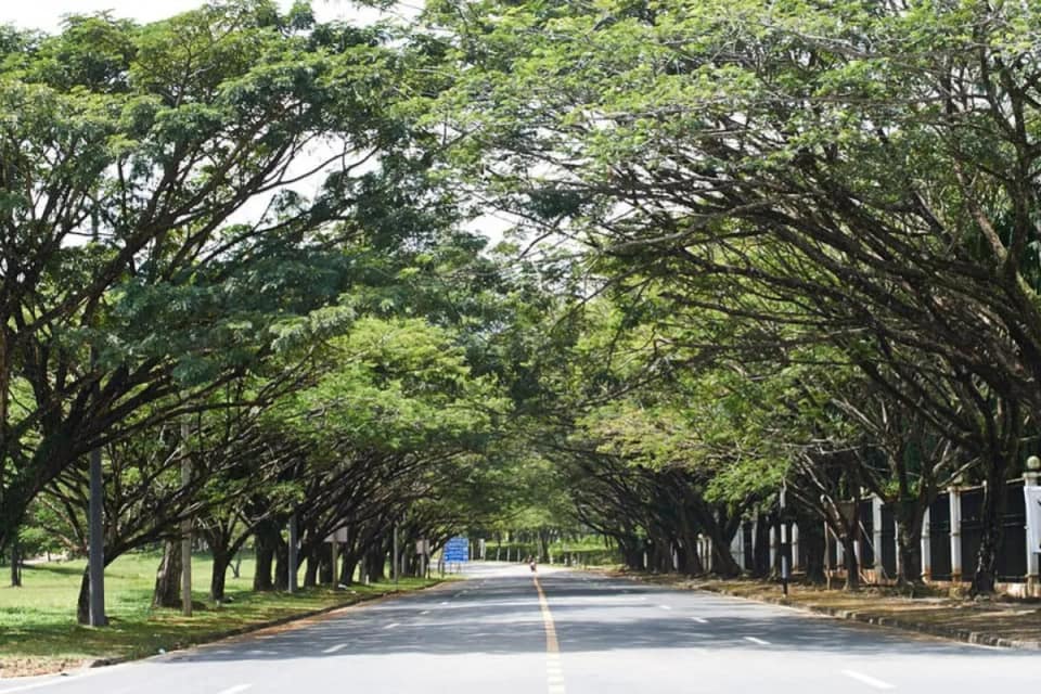 Burasiri Koh Kaew — 2