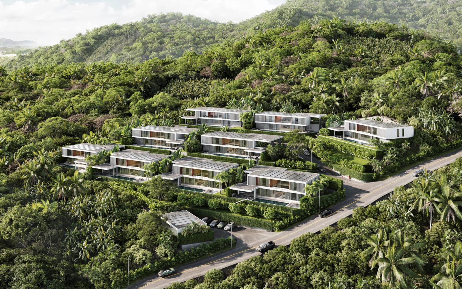 Canopy Hills