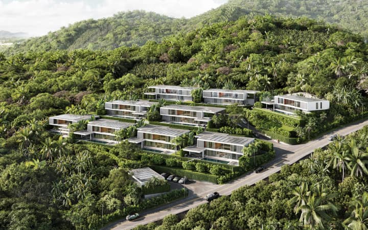 Canopy Hills